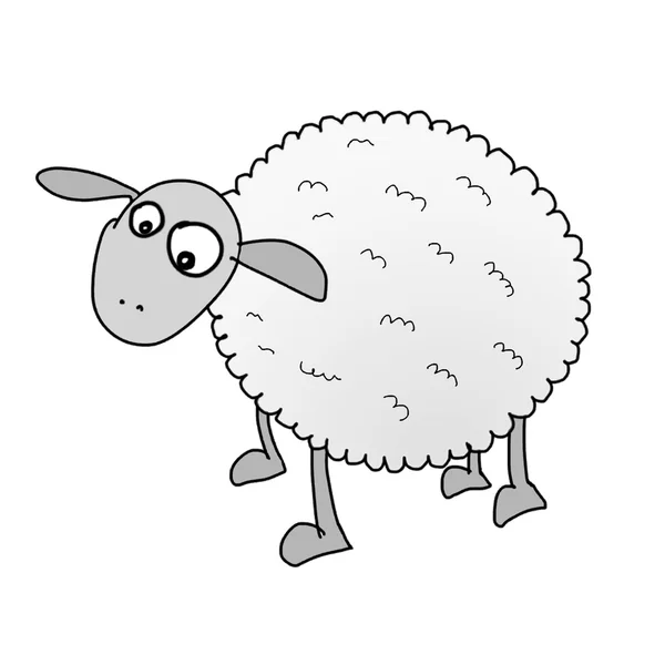 Ovce na bílém pozadí — Stockový vektor
