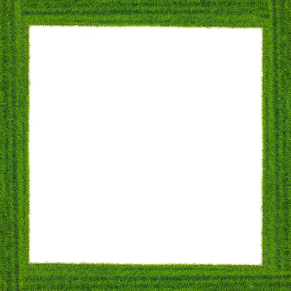 Yeşil çim çerçeve — Stok fotoğraf