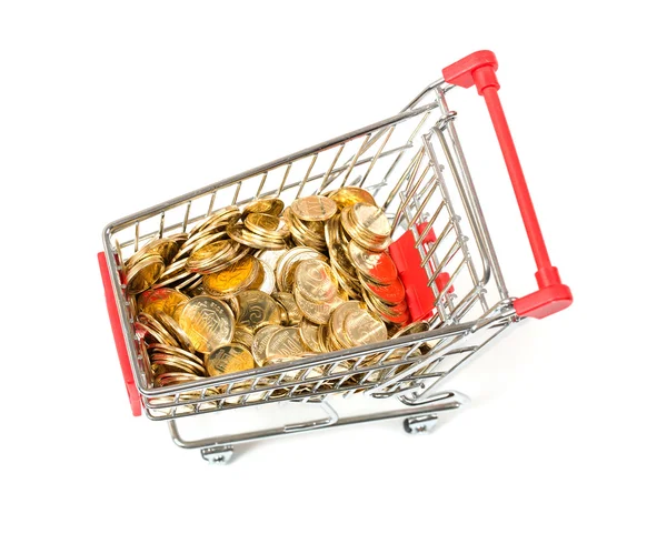 Carrito de compras con dinero — Foto de Stock