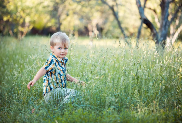 En söt liten pojke sitta i gräset — Stockfoto