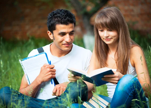 Два студента парень и девочка учатся в парке на траве с книгой — стоковое фото