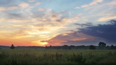 manzara, gün batımında çayır