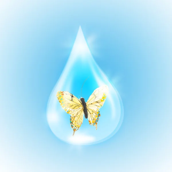 Butterfly in a drop of water — Stock Photo, Image