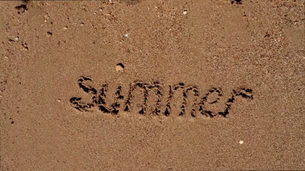 Слово літо на піщаному пляжі — стокове відео