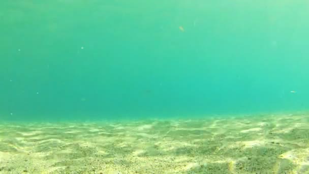 水中の風景 — ストック動画