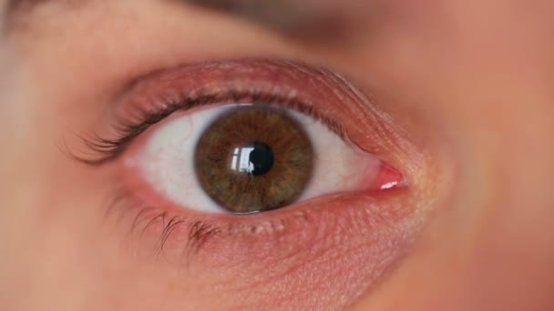 Gros plan sur les yeux masculins — Video