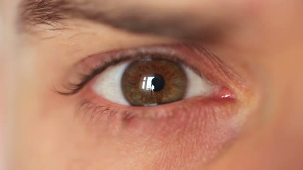 Man eye close-up — Stockvideo