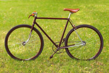 çimenlerin üzerinde şık Bisiklet