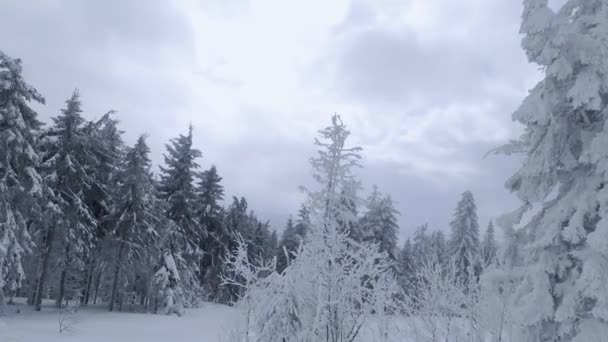 Légi kilátás egy mesés téli hegyi táj közelről hóesés idején. Sima repülés a havas fák között. Ukrajna, Kárpátok. FPV drónnal filmezve. — Stock videók