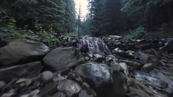 Sanfter, schneller Flug über einen Gebirgsfluss in der Nähe des Wassers, inmitten eines dichten Waldes. Mystische Berglandschaft. Auf FPV-Drohne gefilmt. — Stockvideo