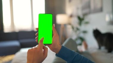 Evde bir kadın siyah kediyle yatakta uzanıyor ve dikey modda yeşil maket ekranlı akıllı telefon kullanıyor. Kız internette geziniyor, içeriği izliyor, videolar izliyor. POV.