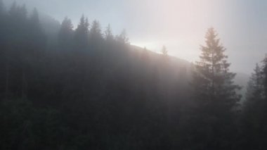 Mistik dağ manzarası. Büyük fırtınaların arasında, sisin içinde dağların üzerinden uçuyor. Sisin içinden gün batımı ışığı yayılıyor. Ukrayna, Karpat Dağları