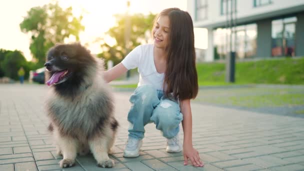 Chica morena acariciando y divertirse con un perro esponjoso al atardecer al aire libre. Movimiento lento — Vídeos de Stock