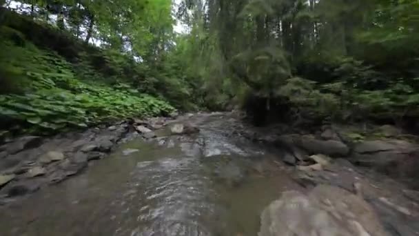 平稳、快速地飞越靠近水的山河，在茂密的森林中。神秘的山景。在FPV无人机上拍摄. — 图库视频影像