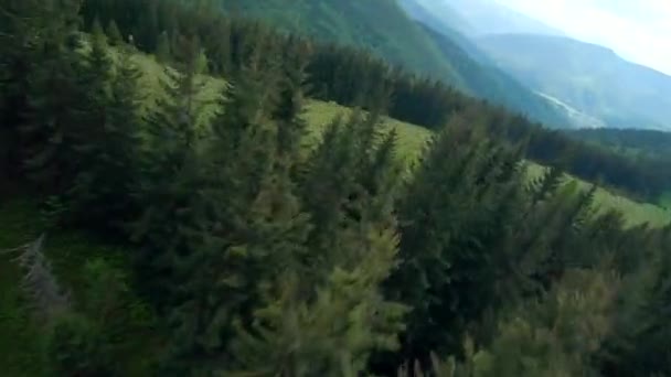 Vídeo FPV, vuelo maniobrable a alta velocidad sobre verdes montañas cubiertas de bosques de coníferas. — Vídeos de Stock