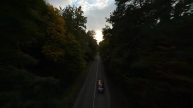 Arabaların sürdüğü yolun yakınındaki sonbahar ormanının hava manzarası. Sarı yapraklı dallara yakın yumuşak bir uçuş. POV FPV insansız hava aracı ile filme alındı