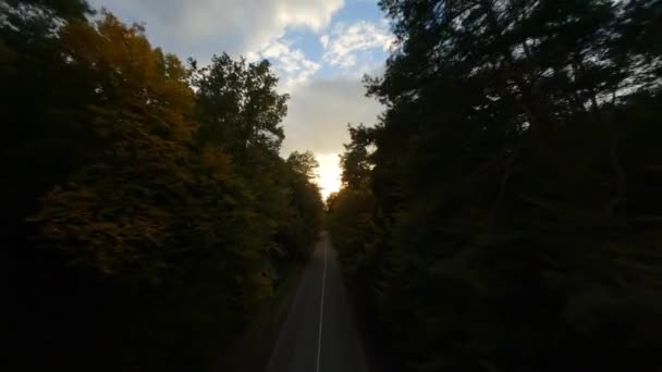 Volo liscio vicino a rami di alberi lungo la strada. Pittoresco autunno paesaggio aereo tramonto. — Video Stock