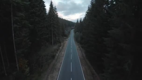 Paisagem mística de outono. Voando sobre a estrada entre enormes abetos, montanhas são visíveis no fundo. — Vídeo de Stock