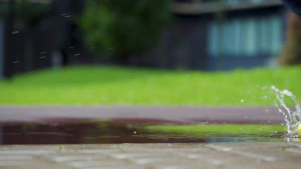 Γυναίκα αθλήτρια που κάνει τζόκινγκ έξω, μπαίνει σε μια λιμνούλα. Ελεύθερος δρομέας τρέχει στη βροχή, κάνει βουτιά. Αργή κίνηση — Αρχείο Βίντεο