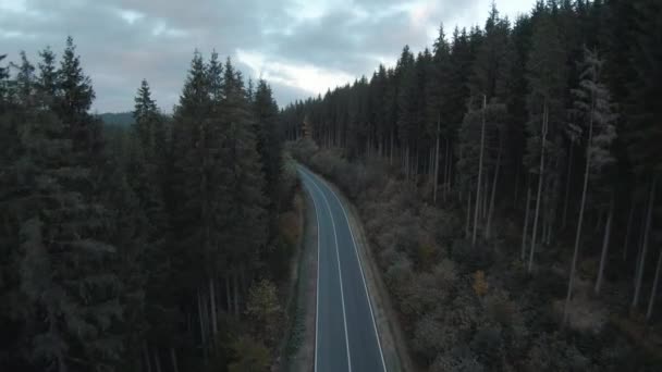 Мистический осенний пейзаж. Летая по дороге среди огромных елок, на заднем плане видны горы. — стоковое видео