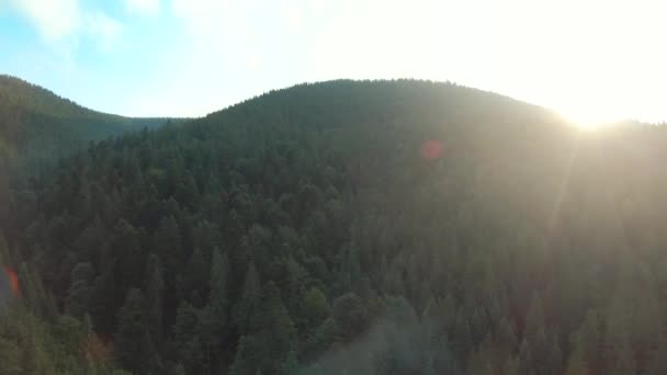 Voo sobre montanhas cobertas de floresta de coníferas ao pôr-do-sol. Panorama aéreo da bela paisagem montanhosa — Vídeo de Stock