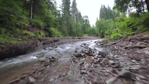 Sanfter, schneller Flug über einen Gebirgsfluss in der Nähe des Wassers, inmitten eines dichten Waldes. Mystische Berglandschaft. Auf FPV-Drohne gefilmt. — Stockvideo