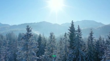 Dağların yamaçlarındaki karla kaplı muhteşem bir ormanın üzerinden uçacağız. Tatra Dağları, Zakopane, Polonya