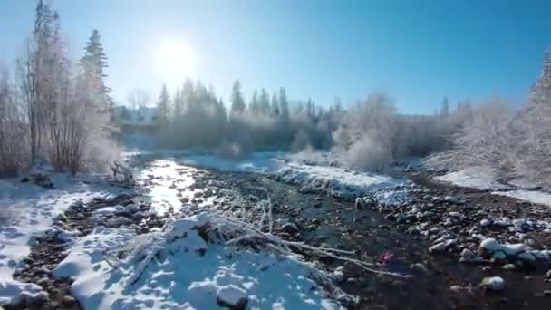 Vliegen over een prachtig winterlandschap op een heldere zonnige dag. Huis, rivier, bomen en bergen op de achtergrond. — Stockvideo