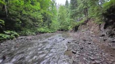 Yoğun bir ormanın içinde, suya yakın bir dağ nehrinin üzerinden pürüzsüz, hızlı bir uçuş. Mistik dağ manzarası. FPV insansız hava aracı ile çekildi.