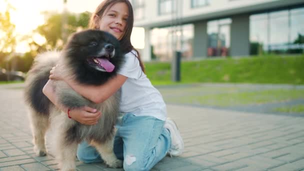Brunetka dziewczyna przytula puszystego psa o zachodzie słońca na zewnątrz. — Wideo stockowe