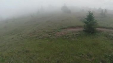 Sabah sisli bir şekilde yamaçtan uçacağız. Ağaçlar, samanlıklar, at otlatma. FPV insansız hava aracı ile çekildi.