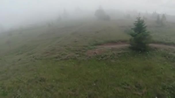 Πτήση στην πρωινή ομίχλη στην πλαγιά του λόφου. Δέντρα, άχυρα, βοσκή αλόγων. Γυρίστηκε σε FPV drone. — Αρχείο Βίντεο