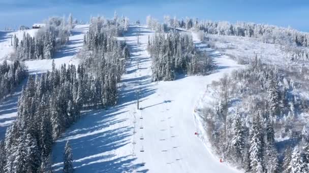 人が丘の下にスノーボードとスキーリゾートの空中ビュー。冬の季節には木々に囲まれた白い雪の上をスキーリフト、スキー、またはスノーボードトラックで飛ぶ — ストック動画