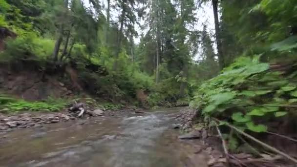 Hladký, rychlý let přes horskou řeku blízko vody, mezi hustým lesem. Tajemná horská krajina. Natočeno na FPV drone. — Stock video
