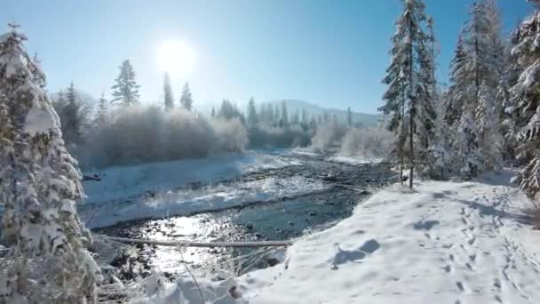 Winter in de bergen. Uitzicht vanuit de lucht op het besneeuwde naaldbos op de hellingen van de bergen en de rivier in het dal. Tatra Mountains, Zakopane, Polen — Stockvideo