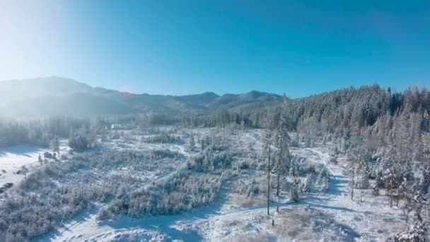 산에서의 겨울. 산의 경사지와 계곡의 강에 있는 눈덮인 침엽수림을 공중에서 볼 수있다. 타트라 산맥, 폴란드 자코파네 — 비디오