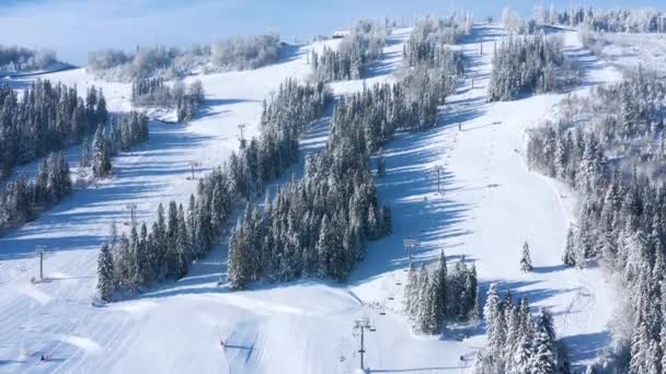 Widok z lotu ptaka. Latanie przez wyciąg narciarski, tor narciarski lub snowboardowy na białym śniegu otoczony drzewami w sezonie zimowym — Wideo stockowe