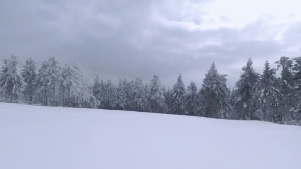 Veduta aerea di un favoloso paesaggio montano invernale vicino ai rami degli alberi. Volo veloce e manovrabile tra alberi innevati durante la nevicata. Ucraina, Monti Carpazi. Girato su drone FPV. — Video Stock