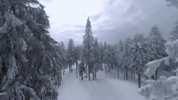 Вид с воздуха на сказочный зимний горный пейзаж рядом с ветвями деревьев. Быстрый плавный полет между заснеженными деревьями. Украина, Карпаты. Съемки на беспилотнике FPV. — стоковое видео
