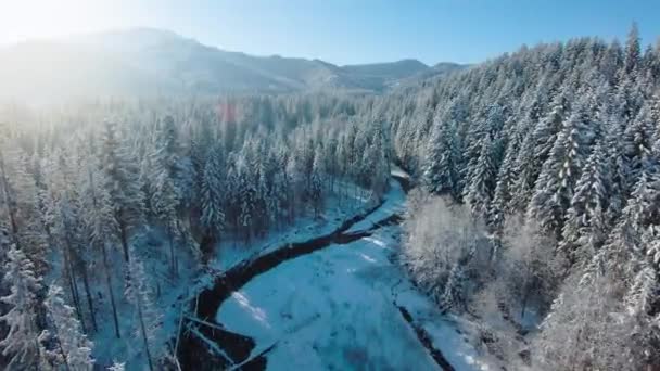 Inverno nas montanhas. Vista aérea da floresta conífera coberta de neve nas encostas das montanhas e do rio no vale. Tatra Mountains, Zakopane, Polónia — Vídeo de Stock