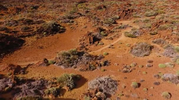 Letecký pohled na ztuhlou lávu a řídkou vegetaci v Národním parku Teide. Tenerife, Kanárské ostrovy — Stock video