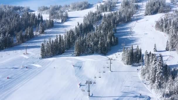 Widok z lotu ptaka na ośrodek narciarski z narciarzami i snowboardem w dół wzgórza. Latanie przez wyciąg narciarski, tor narciarski lub snowboardowy na białym śniegu otoczony drzewami w sezonie zimowym — Wideo stockowe