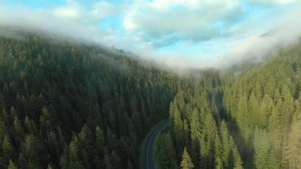 Вид с воздуха на дорогу в горах среди хвойных лесов. Таинственный горный пейзаж, лес окутан туманом. — стоковое видео