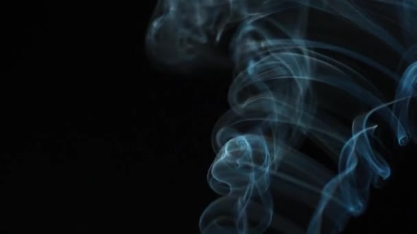 El humo abstracto se levanta en hermosos remolinos sobre un fondo negro. Movimiento lento — Vídeos de Stock