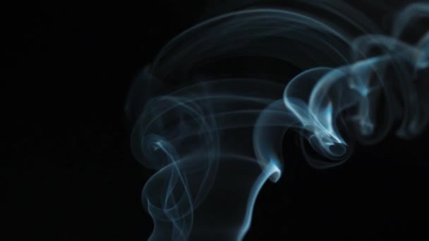 El humo abstracto se levanta en hermosos remolinos sobre un fondo negro. Movimiento lento — Vídeos de Stock