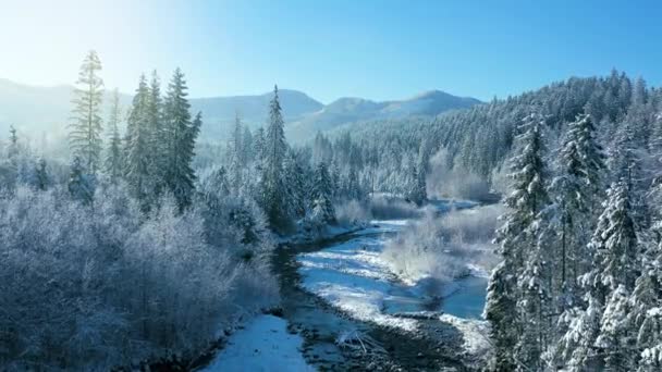 Zima v horách. Letecký pohled na zasněžený jehličnatý les na svazích hor a na řeku v údolí. Tatry, Zakopane, Polsko — Stock video