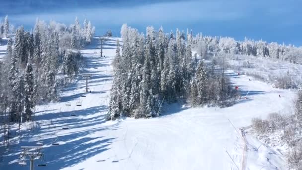 Vista aérea de la estación de esquí con gente esquiando y haciendo snowboard colina abajo. Volando sobre el telesilla, esquí o pista de snowboard en nieve blanca rodeada de árboles en temporada de invierno — Vídeo de stock