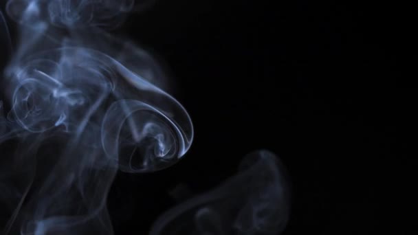 El humo abstracto se levanta en hermosos remolinos sobre un fondo negro. Movimiento lento — Vídeos de Stock