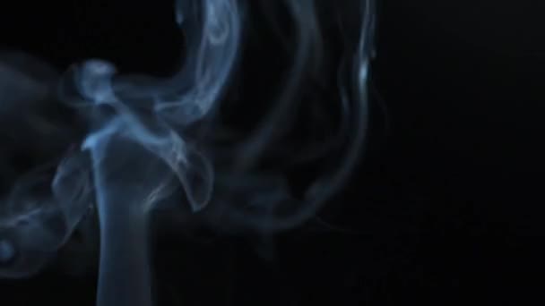Abstrakt rök stiger upp i vackra virvlar på en svart bakgrund — Stockvideo