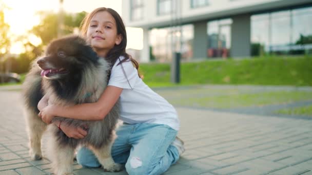 ブルネットの女の子は外の夕日でふわふわの犬を抱いています。スローモーション — ストック動画